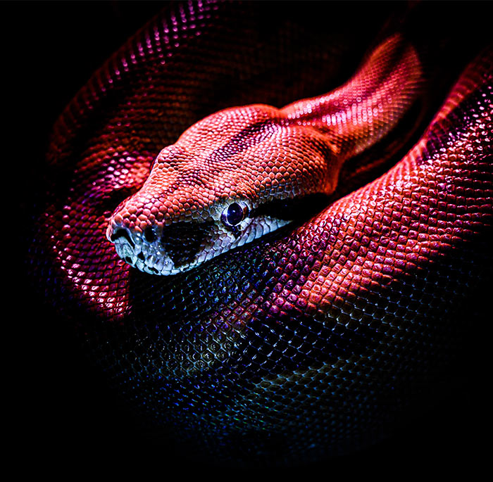 Brand Name : Brand Short Description Type Here.